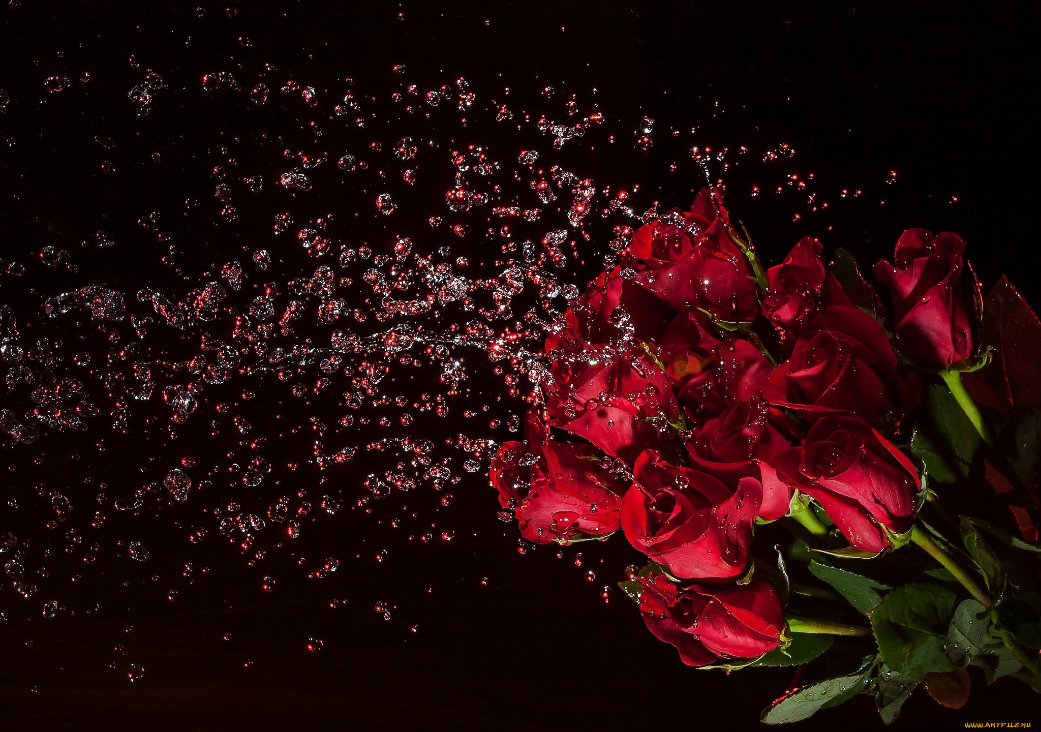 Обои розы, фон на рабочий стол - картинки с раздела Цветы